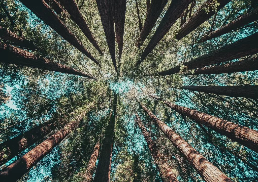 Significato dell'interconnessione