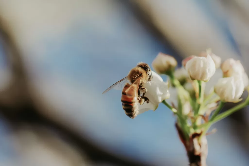 Significato dell'interconnessione