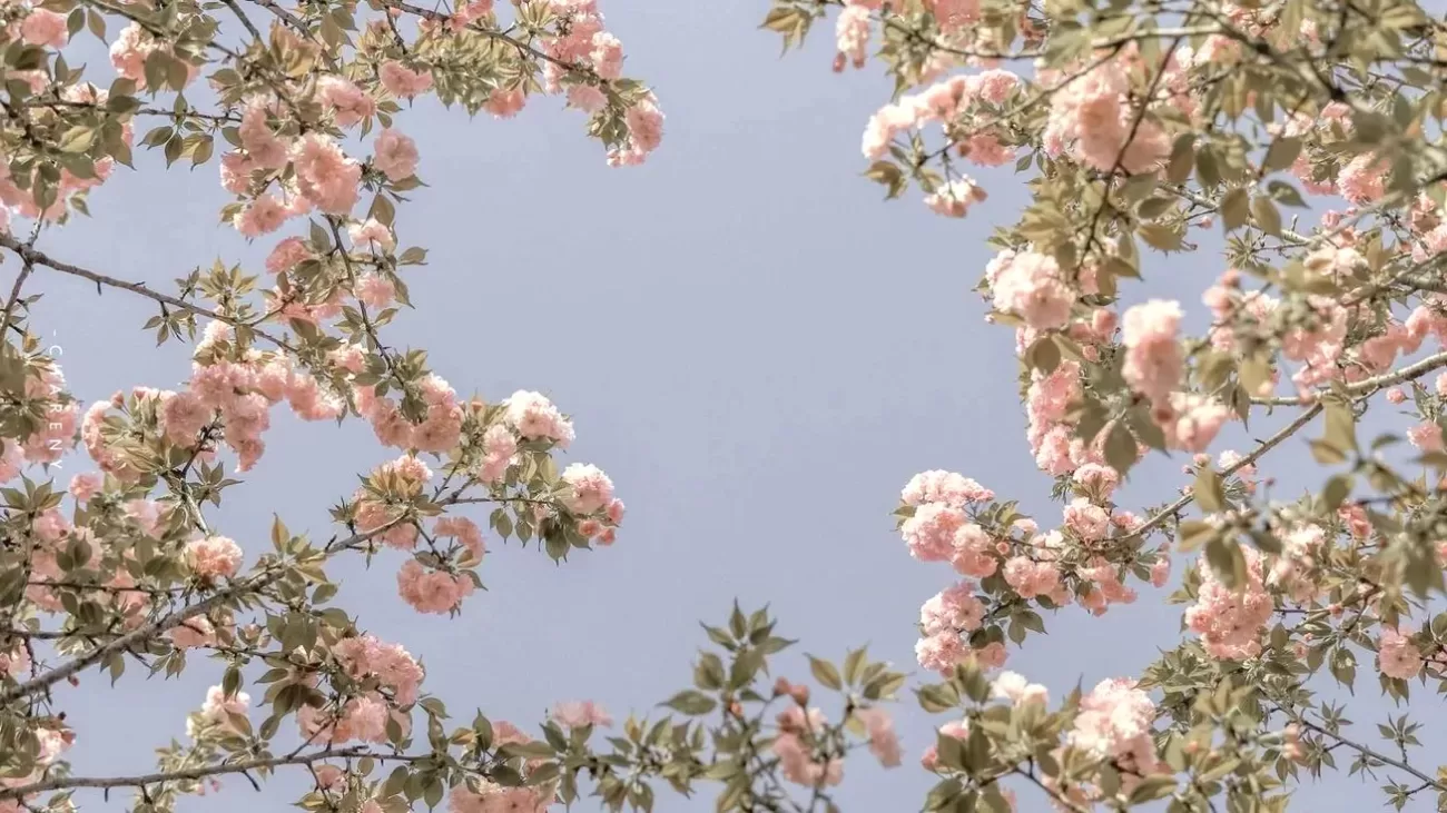 L'importanza del sonno