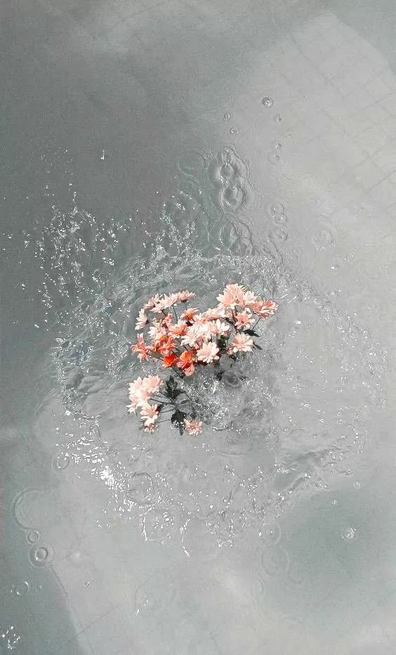 Lasciare andare la gelosia