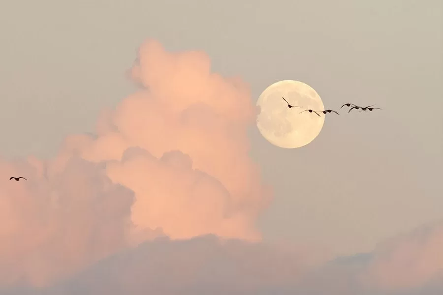Influenza della Luna sulla donna